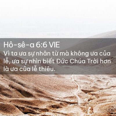 Picture 02 - Hô-sê-a 6:6 VIE - Vì ta ưa sự nhân từ mà không ưa của - Bible Verse Picture