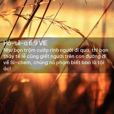 Picture 02 - Hô-sê-a 6:9 VIE - Như bọn trộm cướp rình người đi qua, - Bible Verse Picture