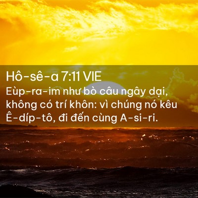 Picture 02 - Hô-sê-a 7:11 VIE - Eùp-ra-im như bò câu ngây dại, không có - Bible Verse Picture