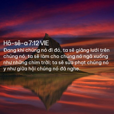 Picture 02 - Hô-sê-a 7:12 VIE - Đang khi chúng nó đi đó, ta sẽ giăng - Bible Verse Picture