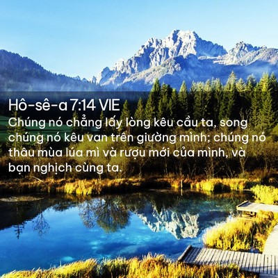 Picture 02 - Hô-sê-a 7:14 VIE - Chúng nó chẳng lấy lòng kêu cầu ta, - Bible Verse Picture