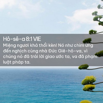 Picture 02 - Hô-sê-a 8:1 VIE - Miệng ngươi khá thổi kèn! Nó như chim - Bible Verse Picture