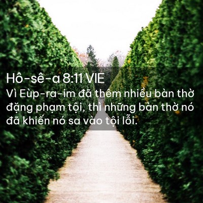 Picture 02 - Hô-sê-a 8:11 VIE - Vì Eùp-ra-im đã thêm nhiều bàn thờ - Bible Verse Picture