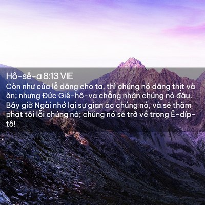 Picture 02 - Hô-sê-a 8:13 VIE - Còn như của lễ dâng cho ta, thì chúng - Bible Verse Picture