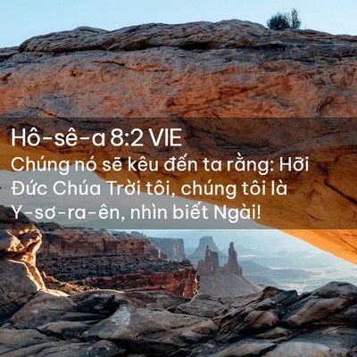 Picture 02 - Hô-sê-a 8:2 VIE - Chúng nó sẽ kêu đến ta rằng: Hỡi - Bible Verse Picture
