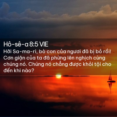 Picture 02 - Hô-sê-a 8:5 VIE - Hỡi Sa-ma-ri, bò con của ngươi đã bị - Bible Verse Picture