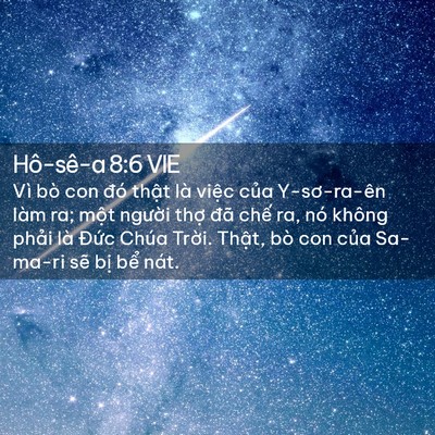 Picture 02 - Hô-sê-a 8:6 VIE - Vì bò con đó thật là việc của - Bible Verse Picture