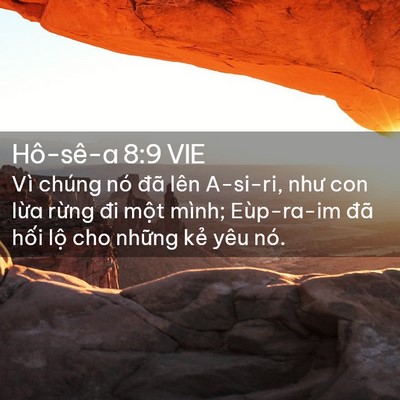 Picture 02 - Hô-sê-a 8:9 VIE - Vì chúng nó đã lên A-si-ri, như con lừa - Bible Verse Picture