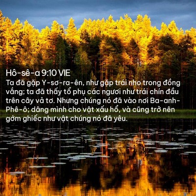 Picture 02 - Hô-sê-a 9:10 VIE - Ta đã gặp Y-sơ-ra-ên, như gặp trái nho - Bible Verse Picture