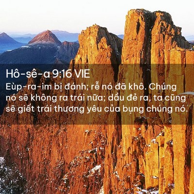 Picture 02 - Hô-sê-a 9:16 VIE - Eùp-ra-im bị đánh; rễ nó đã khô. - Bible Verse Picture