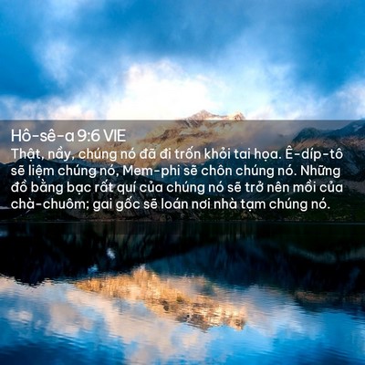 Picture 02 - Hô-sê-a 9:6 VIE - Thật, nầy, chúng nó đã đi trốn khỏi - Bible Verse Picture