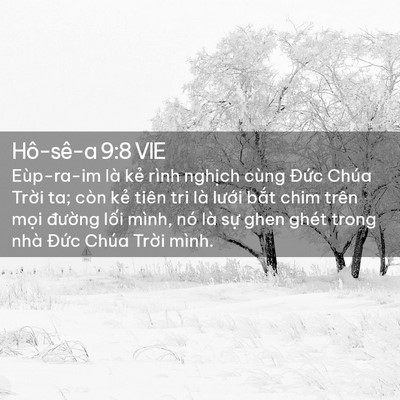 Picture 02 - Hô-sê-a 9:8 VIE - Eùp-ra-im là kẻ rình nghịch cùng Đức - Bible Verse Picture