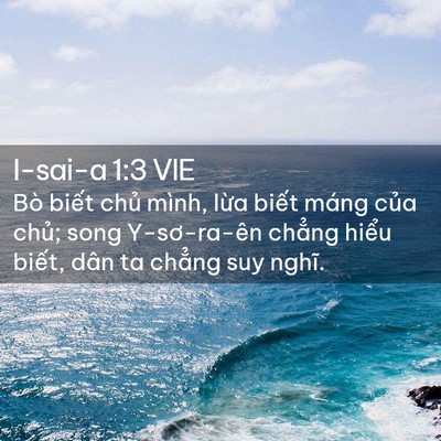 Picture 02 - I-sai-a 1:3 VIE - Bò biết chủ mình, lừa biết máng của - Bible Verse Picture