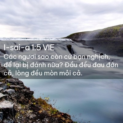 Picture 02 - I-sai-a 1:5 VIE - Các ngươi sao còn cứ bạn nghịch, để - Bible Verse Picture