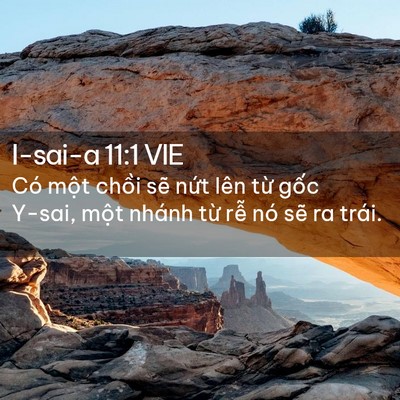 Picture 02 - I-sai-a 11:1 VIE - Có một chồi sẽ nứt lên từ gốc - Bible Verse Picture