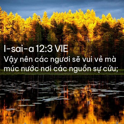 Picture 02 - I-sai-a 12:3 VIE - Vậy nên các ngươi sẽ vui vẻ mà múc - Bible Verse Picture