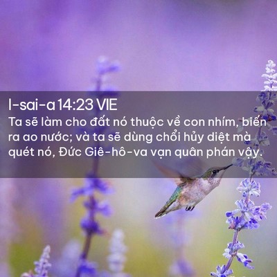 Picture 02 - I-sai-a 14:23 VIE - Ta sẽ làm cho đất nó thuộc về con - Bible Verse Picture