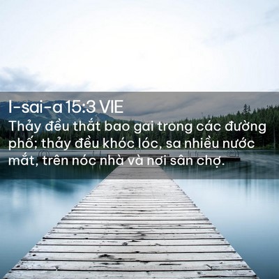 Picture 02 - I-sai-a 15:3 VIE - Thảy đều thắt bao gai trong các đường - Bible Verse Picture