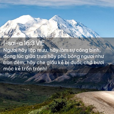 Picture 02 - I-sai-a 16:3 VIE - Ngươi hãy lập mưu, hãy làm sự công - Bible Verse Picture