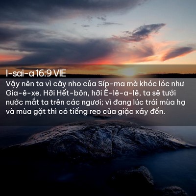 Picture 02 - I-sai-a 16:9 VIE - Vậy nên ta vì cây nho của Síp-ma mà - Bible Verse Picture