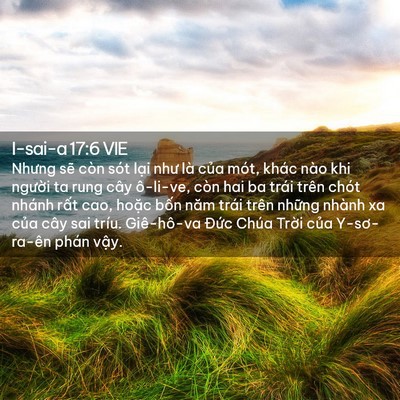 Picture 02 - I-sai-a 17:6 VIE - Nhưng sẽ còn sót lại như là của mót, - Bible Verse Picture