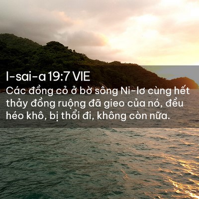 Picture 02 - I-sai-a 19:7 VIE - Các đồng cỏ ở bờ sông Ni-lơ cùng - Bible Verse Picture