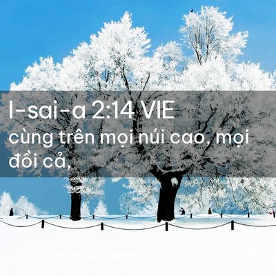 Picture 02 - I-sai-a 2:14 VIE - cùng trên mọi núi cao, mọi đồi - Bible Verse Picture