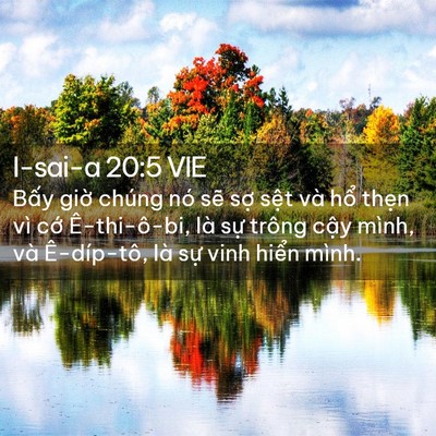 Picture 02 - I-sai-a 20:5 VIE - Bấy giờ chúng nó sẽ sợ sệt và hổ - Bible Verse Picture