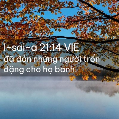 Picture 02 - I-sai-a 21:14 VIE - đã đón những người trốn đặng cho - Bible Verse Picture