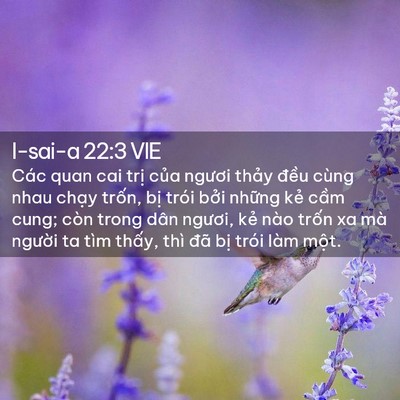Picture 02 - I-sai-a 22:3 VIE - Các quan cai trị của ngươi thảy đều - Bible Verse Picture