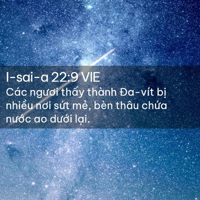 Picture 02 - I-sai-a 22:9 VIE - Các ngươi thấy thành Đa-vít bị nhiều - Bible Verse Picture