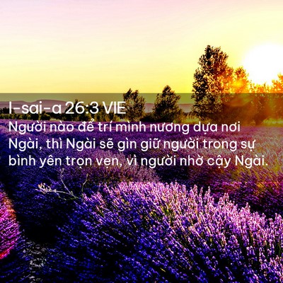 Picture 02 - I-sai-a 26:3 VIE - Người nào để trí mình nương dựa nơi - Bible Verse Picture