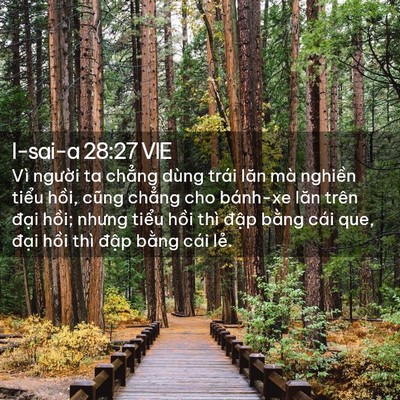 Picture 02 - I-sai-a 28:27 VIE - Vì người ta chẳng dùng trái lăn mà - Bible Verse Picture