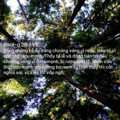 Picture 02 - I-sai-a 28:7 VIE - Song những kẻ ấy cũng choáng váng vì - Bible Verse Picture