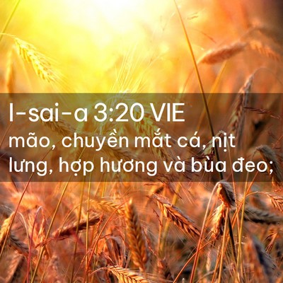 Picture 02 - I-sai-a 3:20 VIE - mão, chuyền mắt cá, nịt lưng, hợp - Bible Verse Picture