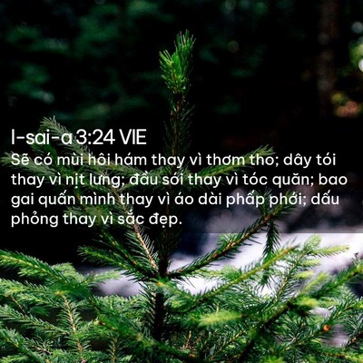 Picture 02 - I-sai-a 3:24 VIE - Sẽ có mùi hôi hám thay vì thơm tho; dây - Bible Verse Picture