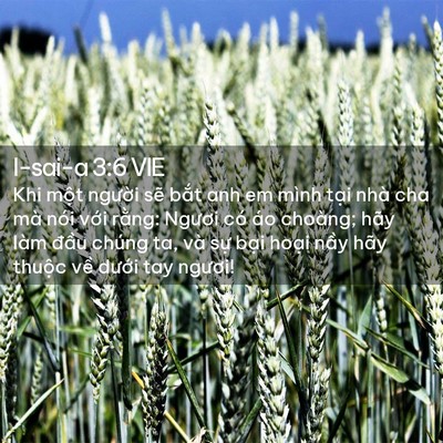 Picture 02 - I-sai-a 3:6 VIE - Khi một người sẽ bắt anh em mình tại - Bible Verse Picture