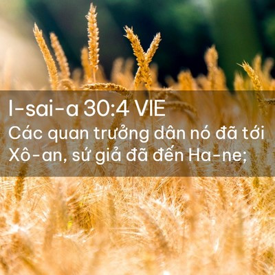 Picture 02 - I-sai-a 30:4 VIE - Các quan trưởng dân nó đã tới Xô-an, - Bible Verse Picture