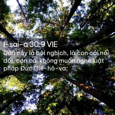 Picture 02 - I-sai-a 30:9 VIE - Dân nầy là bội nghịch, là con cái nói - Bible Verse Picture