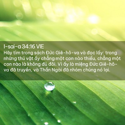 Picture 02 - I-sai-a 34:16 VIE - Hãy tìm trong sách Đức Giê-hô-va và - Bible Verse Picture