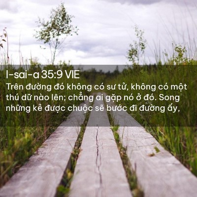 Picture 02 - I-sai-a 35:9 VIE - Trên đường đó không có sư tử, không - Bible Verse Picture