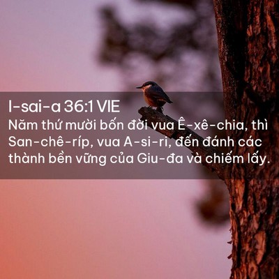 Picture 02 - I-sai-a 36:1 VIE - Năm thứ mười bốn đời vua Ê-xê-chia, - Bible Verse Picture