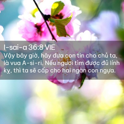 Picture 02 - I-sai-a 36:8 VIE - Vậy bây giờ, hãy đưa con tin cho chủ - Bible Verse Picture