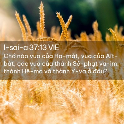 Picture 02 - I-sai-a 37:13 VIE - Chớ nào vua của Ha-mát, vua của - Bible Verse Picture