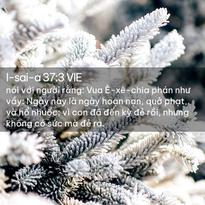 Picture 02 - I-sai-a 37:3 VIE - nói với người rằng: Vua Ê-xê-chia phán - Bible Verse Picture