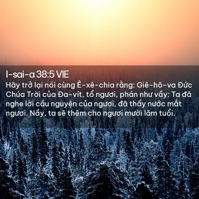 Picture 02 - I-sai-a 38:5 VIE - Hãy trở lại nói cùng Ê-xê-chia rằng: - Bible Verse Picture
