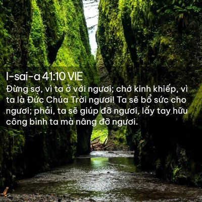 Picture 02 - I-sai-a 41:10 VIE - Đừng sợ, vì ta ở với ngươi; chớ - Bible Verse Picture