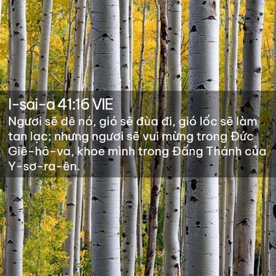 Picture 02 - I-sai-a 41:16 VIE - Ngươi sẽ dê nó, gió sẽ đùa đi, gió - Bible Verse Picture