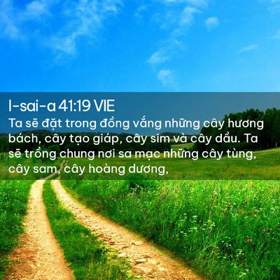 Picture 02 - I-sai-a 41:19 VIE - Ta sẽ đặt trong đồng vắng những cây - Bible Verse Picture