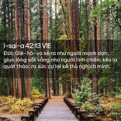 Picture 02 - I-sai-a 42:13 VIE - Đức Giê-hô-va sẽ ra như người mạnh - Bible Verse Picture